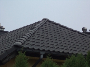 Czyszczenie dachów [4]
